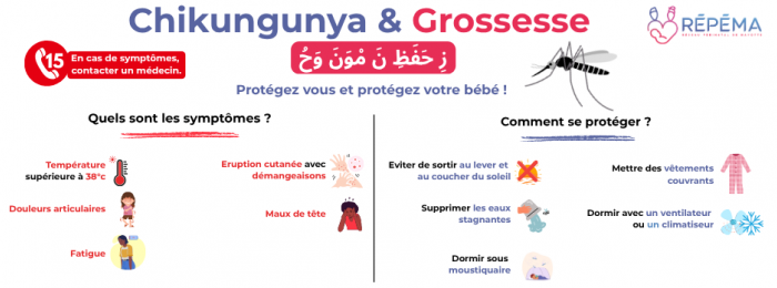 Chikungunya et grossesse : se protéger, c’est protéger son bébé
