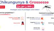 Chikungunya et grossesse : se protéger, c’est protéger son bébé