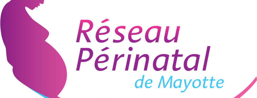 Plénière finale : Renforcement des compétences des interprètes en périnatalité à Mayotte (2ème édition) 19 octobre 2018