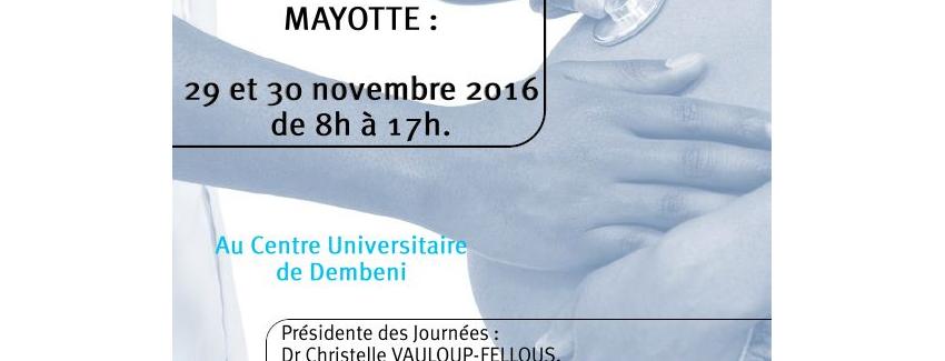 Les 4es Journées Périnatales de Mayotte, les mardi 29 et mercredi 30 novembre 2016