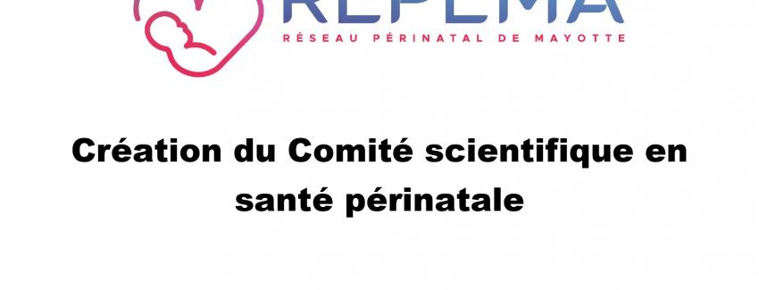 Création du Comité scientifique en santé périnatale