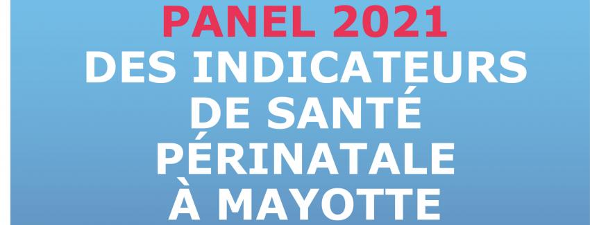 Panels des indicateurs de santé périnatale à Mayotte