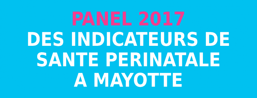 Panel 2017 des Indicateurs de santé périnatale à Mayotte - 2ème édition