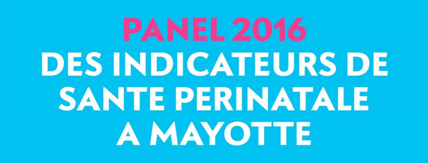 Panel des Indicateurs de santé périnatale à Mayotte (2016)