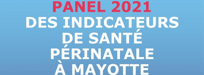 Panels des indicateurs de santé périnatale à Mayotte