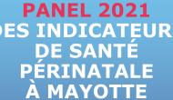 Panels des indicateurs de santé périnatale à Mayotte