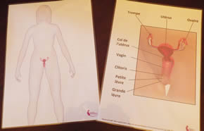 une femme enceinte à terme. une femme enceinte à terme.