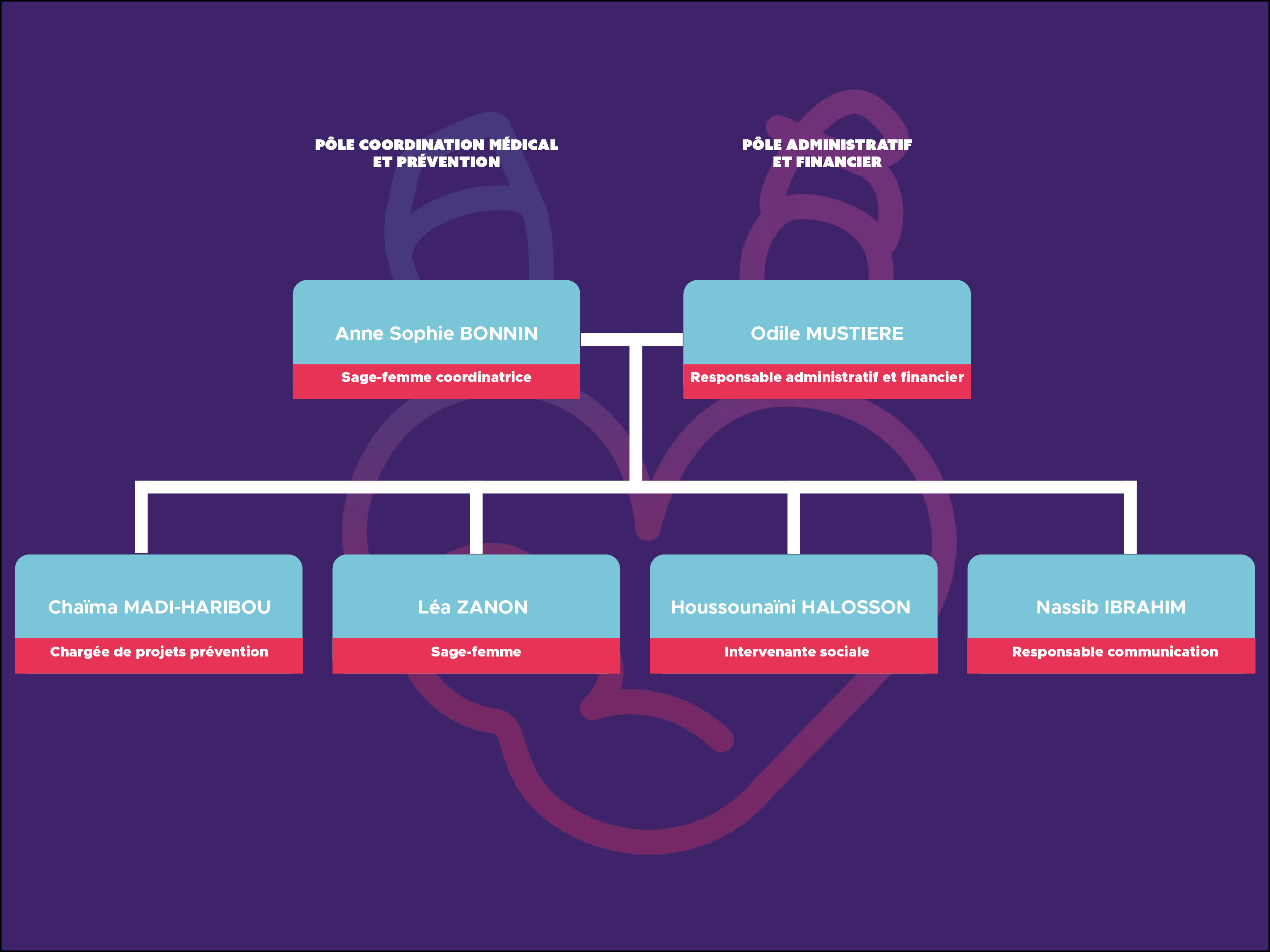 Organigramme Equipe Organigramme Equipe
